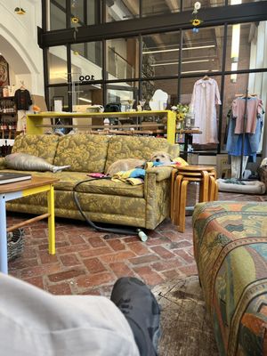 Exhibit Coffee at Friend Museum by null