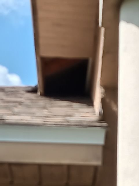 Slide of Citrus Contracting