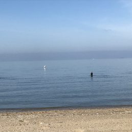At low tide you can walk forever before you even have water to your waist.