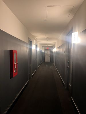 Ace Hotel New York by null