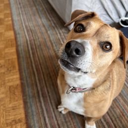 Being a very good girl Being a very good girl