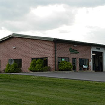 1. Steve Shannon Tire & Auto Centers
