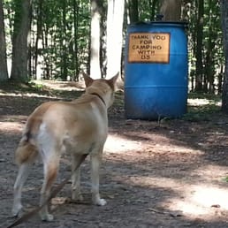 Carter dog had a great time camping!