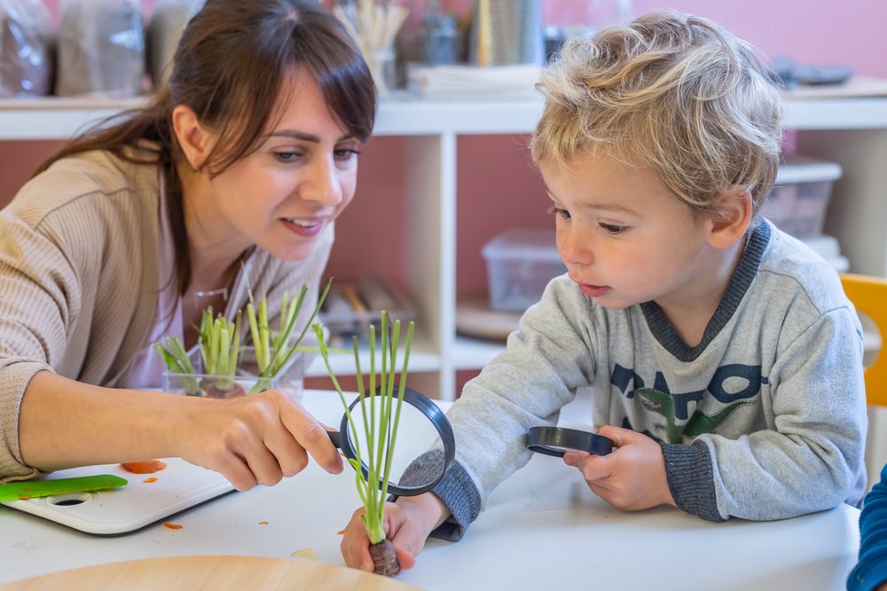 La Scuola International School - childcare center in San Francisco, CA