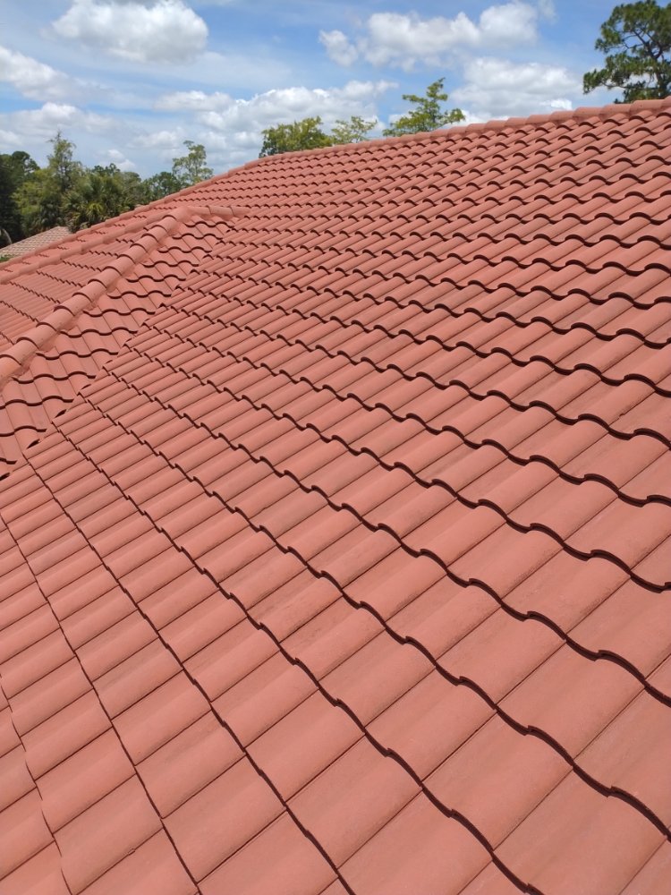 Slide of Elite Roof Cleaning