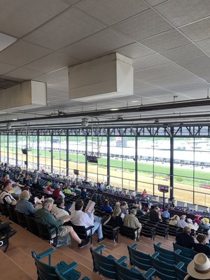 Pimlico Race Course by null