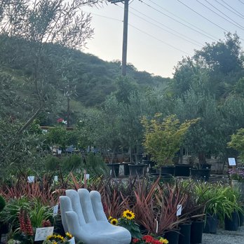 The Standard Design Group Nurseries - Nurseries & Gardening Near Me - Laguna Beach, California The Standard Design Group Nurseries - Nurseries & Gardening Near Me - Laguna Beach, California