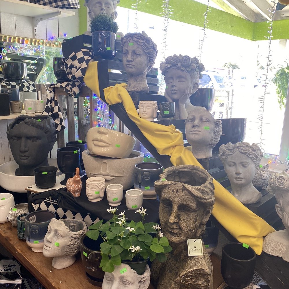 Plant Place - Inside the store - Nurseries & Gardening Near Me - Wilmington, North Carolina Plant Place - Inside the store - Nurseries & Gardening Near Me - Wilmington, North Carolina