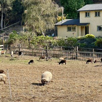 Lost Emu Farms - Landscaping Near Me - Aptos, California