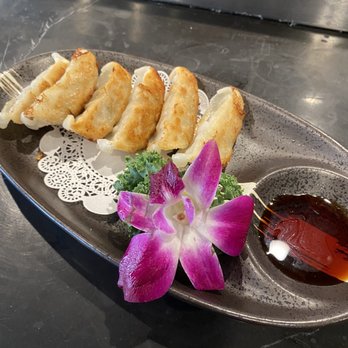 Tomo 68 - Gyoza - Asian Fusion Near Me - Naugatuck, Connecticut