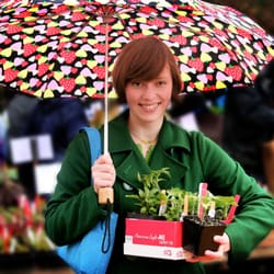 Tilth Alliance - Happy shoppers peruse the region's largest selection of organic edible plants at Seattle Tilth's annual May Edible Plant Sale.