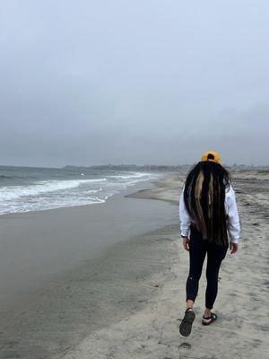 Cardiff State Beach by null