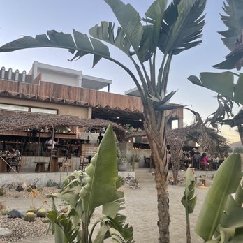 Salvaje Restaurant - View of the restaurant and winery from the outdoor patio - Mexican Near Me - Valle de Guadalupe, BCN