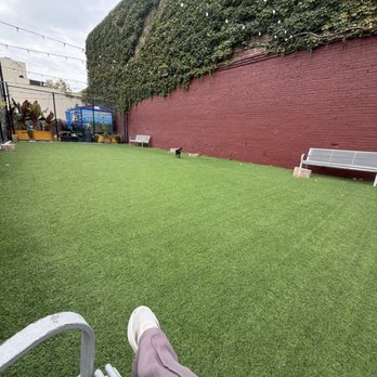 SoFA Pocket Park - Dog Parks Near Me - San Jose, California SoFA Pocket Park - Dog Parks Near Me - San Jose, California