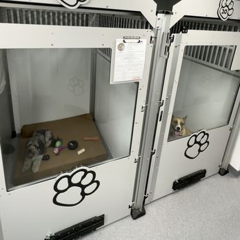 Premier K-9, - Pet Groomers Near Me - Beverly Hills, Florida Premier K-9, - Pet Groomers Near Me - Beverly Hills, Florida