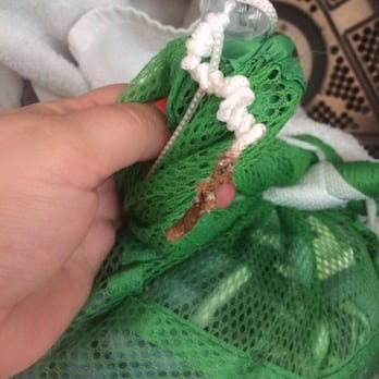 Beach Colony Resort - Damage from clothes getting stuck in dryer. - Resorts Near Me - Myrtle Beach, South Carolina Beach Colony Resort - Damage from clothes getting stuck in dryer. - Resorts Near Me - Myrtle Beach, South Carolina