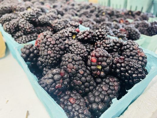 Charlotte Regional Farmers Market by null