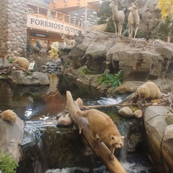 Cabela's - Dundee Michigan Cabela's