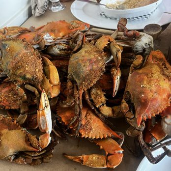Captain James Crab House - Medium blue... dozen and a half - Seafood Near Me - Baltimore, Maryland
