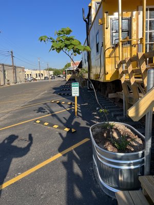 Sly Fox Coffeehouse by null