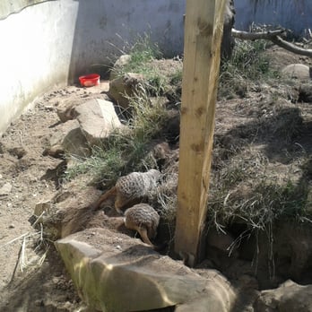 Ark Open Farm - Zoos Near Me - Newtownards, ARD
