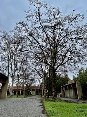 De Anza College by null