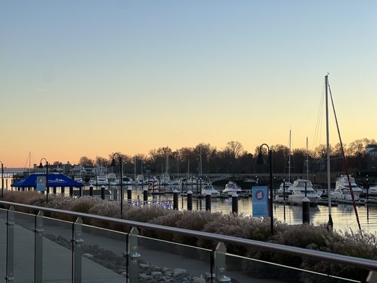 Sign of the Whale by null