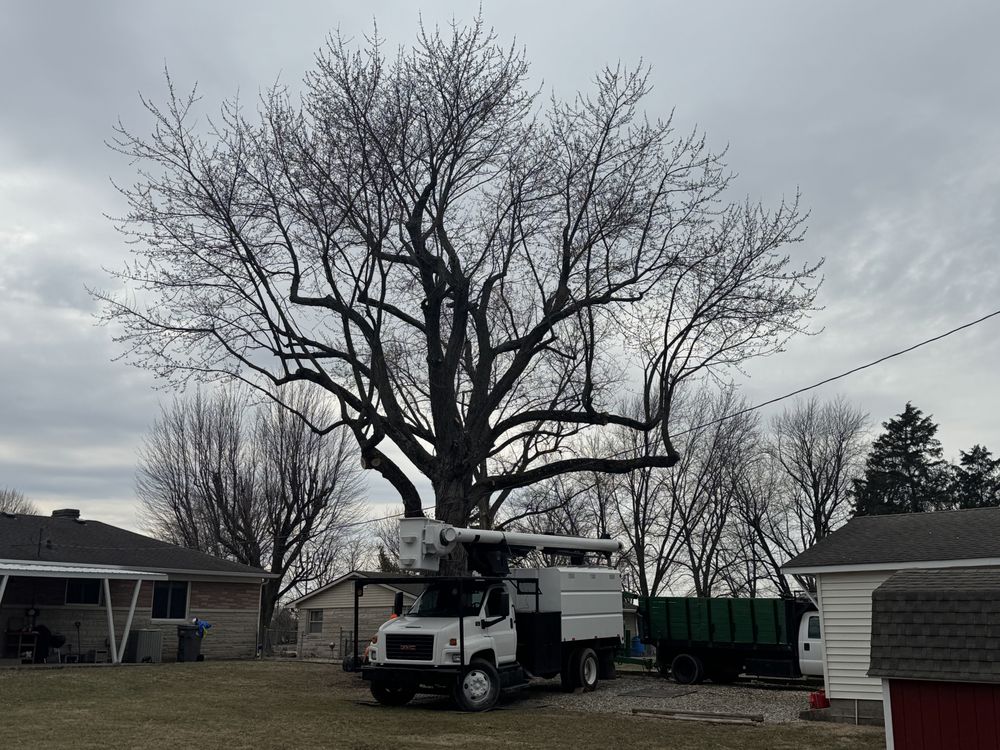 Extreme Tree Care - tree service in Indianapolis, IN