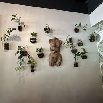 Ivy Café - Coffee & Tea Near Me - Clayton, Missouri Ivy Café - Coffee & Tea Near Me - Clayton, Missouri