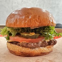 Mr Mushroom Burger Farm