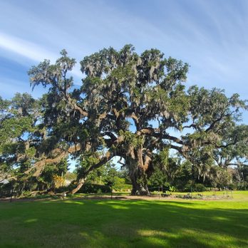 Airlie Gardens - Venues & Event Spaces Near Me - Wilmington, North Carolina Airlie Gardens - Venues & Event Spaces Near Me - Wilmington, North Carolina