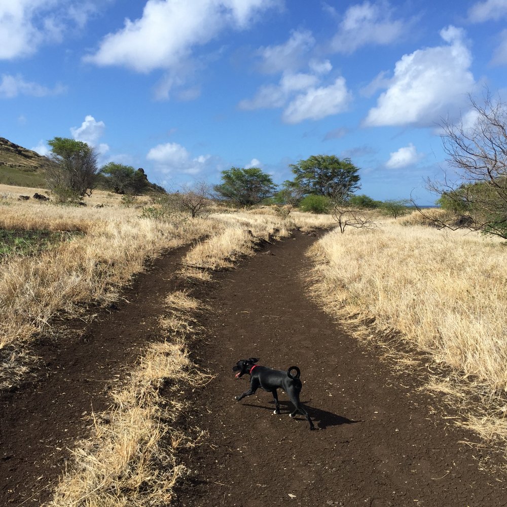 Kaiwi Shoreline Trail - Hiking Near Me Kaiwi Shoreline Trail - Hiking Near Me
