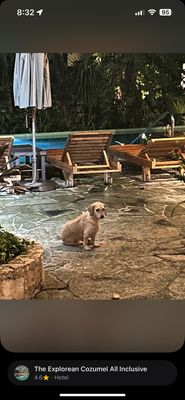 The Explorean Cozumel All Inclusive by null