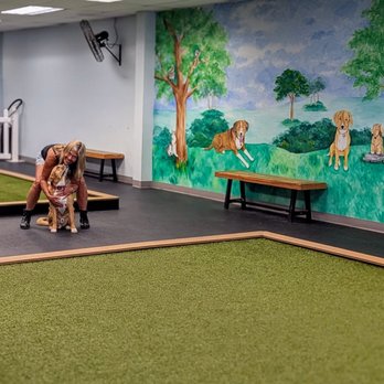 Pawsessions - Pet Training Near Me - Greenlawn, New York Pawsessions - Pet Training Near Me - Greenlawn, New York