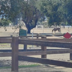 Conejo Creek Dog Park