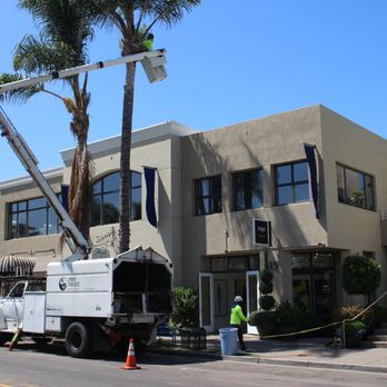 Pro Trees - Tree Services Near Me - San Diego, California Pro Trees - Tree Services Near Me - San Diego, California