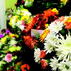 Forest of Flowers - Hand-tied Bouquet Gallery