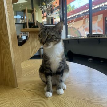Miko's Pet Supplies - Pet Stores Near Me - West Covina, California Miko's Pet Supplies - Pet Stores Near Me - West Covina, California