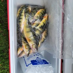 Fish on Guided Fishing Tours