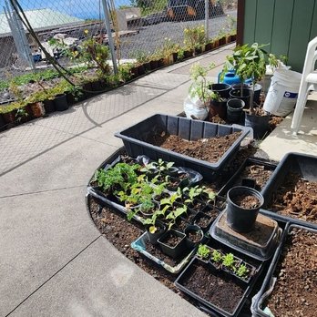 Ka-Lae Garden - Ingredients! - Thai Near Me - Ocean View, Hawaii Ka-Lae Garden - Ingredients! - Thai Near Me - Ocean View, Hawaii