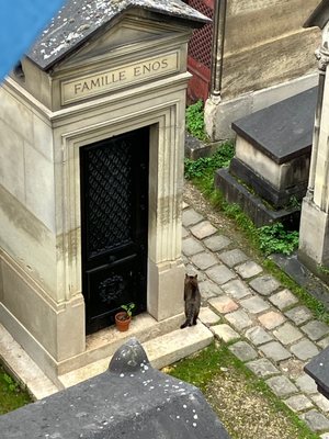 Cimetière de Montmartre by null