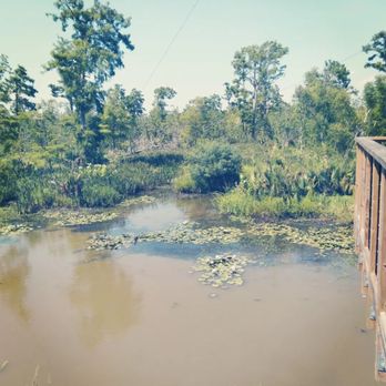 Zip Nola - Ziplining Near Me - Laplace, Louisiana