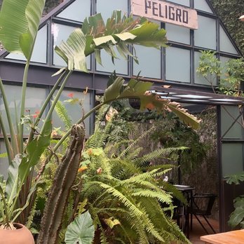 Peligro - Mexican Near Me - Guadalajara, JAL