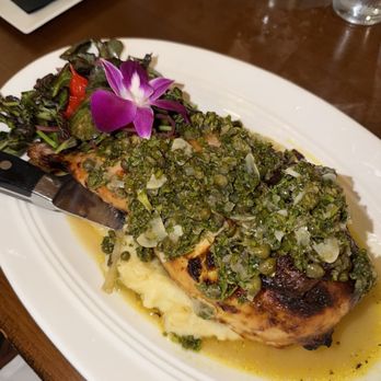Square Grouper - Chicken breast - Bars Near Me - Key West, Florida Square Grouper - Chicken breast - Bars Near Me - Key West, Florida