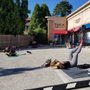 Photo of Tuck Barre & Yoga Haverford