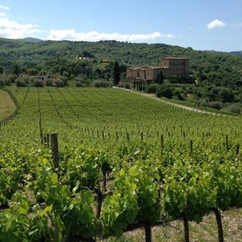 Castello di Potentino - A view of the castle from one of the vineyards. - Bed & Breakfast Near Me - Seggiano, GR