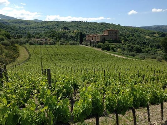 Castello Di Potentino by null