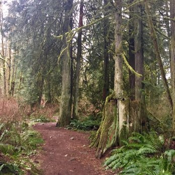 Cherry Creek Falls Trail - Well maintained and flat trail - Hiking Near Me - Duvall, Washington