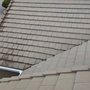 Squeekee Squeegee Window Cleaning