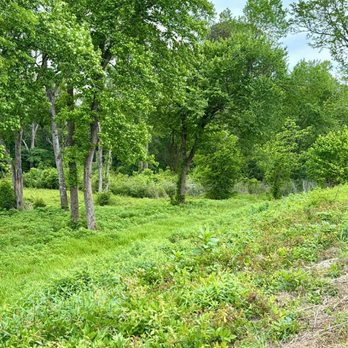 Crockett Forest RV Park - RV Parks Near Me - Crockett, Texas Crockett Forest RV Park - RV Parks Near Me - Crockett, Texas